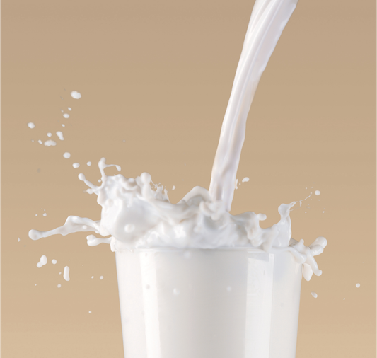 Classic Jersey Milk